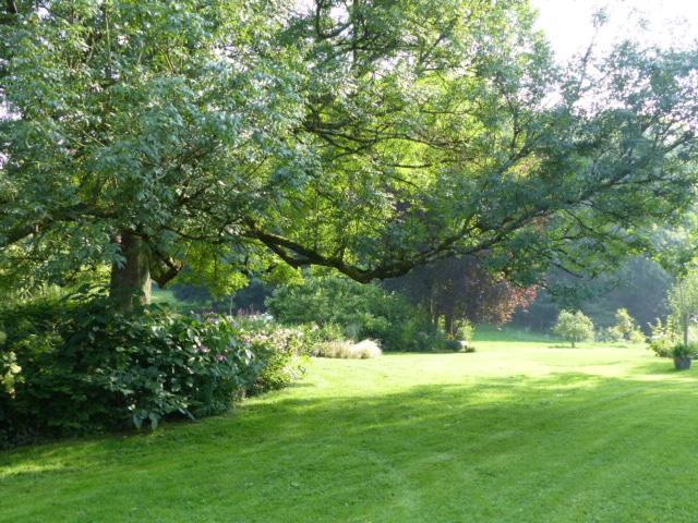 Ferienwohnung Le Jardin Du Rossignol Willeman Exterior foto